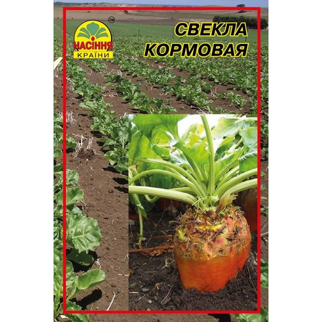 Семена свеклы кормовой Рекорд поли 20 г (Насіння країни) - Фото 1 Семена свеклы кормовой Рекорд поли 20 г (Насіння країни) - изображение 1