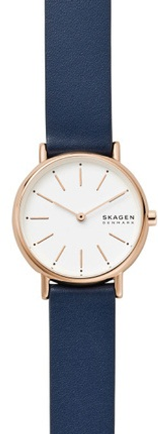Женские наручные часы Skagen SKW2838 – фото, отзывы, характеристики в ...