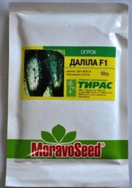 Семена огурцов Moravoseed Далила f1 1.2 г - Фото 4 Семена огурцов Moravoseed Далила f1 1.2 г - изображение 4