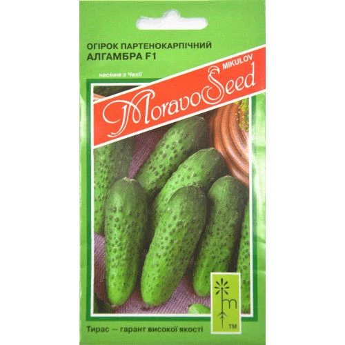 Семена огурцов Moravoseed Алгамбра f1 1.2 г - изображение 3