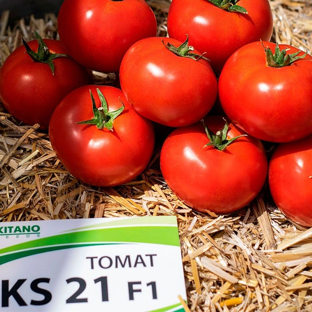 Насіння томатів Kitano Seeds Кс 21 f1 (ks 21 f1) 100 насінин - зображення 4