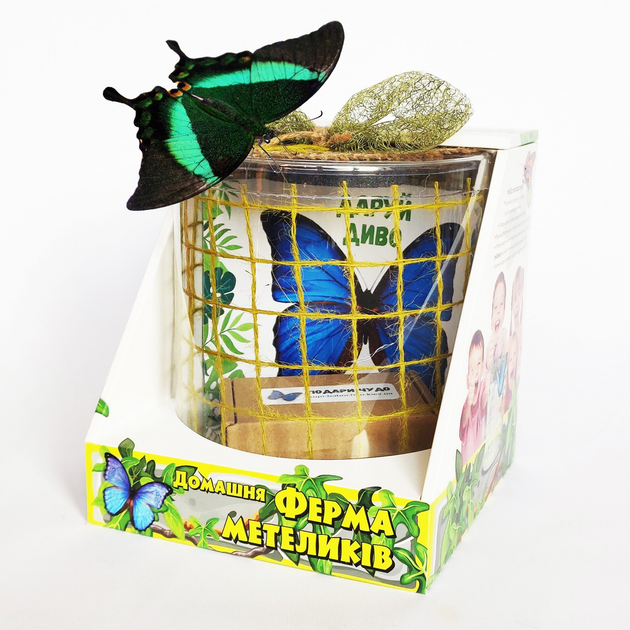 DIY Летающая бабочка / Движущаяся поделка своими руками