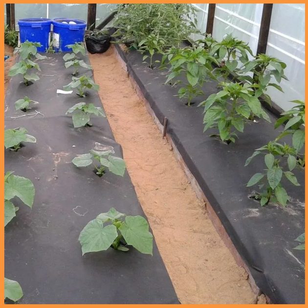 Агроволокно Growtex 50г/кв.м 3.2м х 50м Чёрное - Фото 4 Агроволокно Growtex 50г/кв.м 3.2м х 50м Чёрное - изображение 4