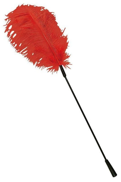Палочка с перьями Feder цвет красный (14221015000000000) - изображение 1