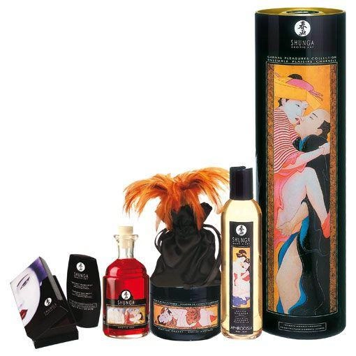 Набір Shunga Carnal Pleasure Collection (01550000000000000) - зображення 1