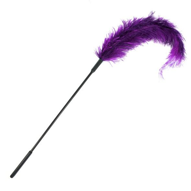 Перышки для шалостей Ostrich Tickler цвет фиолетовый (12515017000000000) - изображение 1