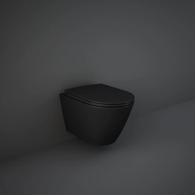 Сиденье - крышка для унитаза RAK CERAMICS Feeling RSTSC3901504 Soft Close дюропласт - изображение 2