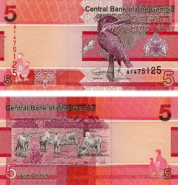 ぬーぴー　5点 Банкнота Гамбия 5 даласи 2019 UNC Птица (PW37) – купить онлайн на