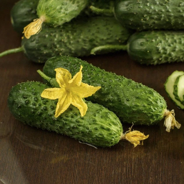 Семена огурцов NongWoo Bio Солют f1 (абсолют f1) 10 семян – купить ...