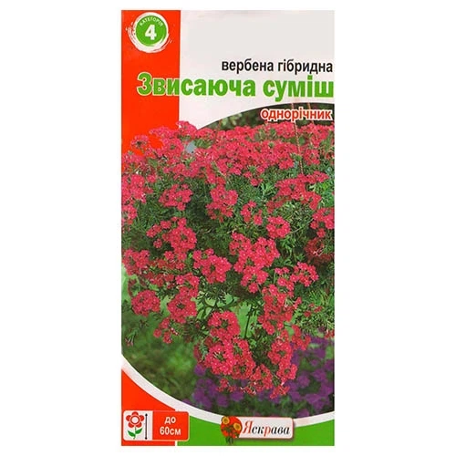 Вербена гібридна звисаюча суміш Різнобарвний Насіння Florium (726490) - Фото 3 Вербена гібридна звисаюча суміш Різнобарвний Насіння Florium (726490) - зображення 3