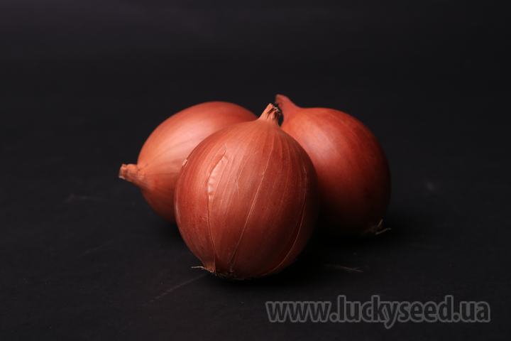 Семена Семена лука Доккер F1 250 000 семян Lucky Seed – фото, отзывы ...