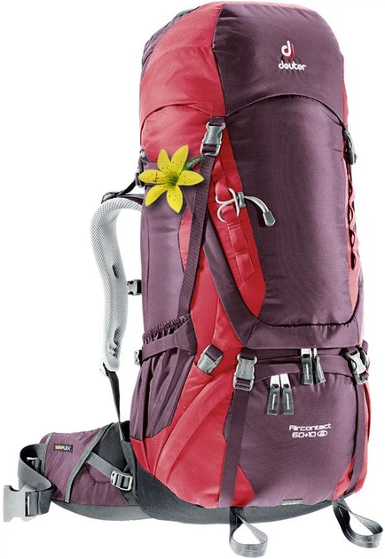 Рюкзак Deuter Aircontact 60 + 10 SL цвет 5518 aubergine-cranberry (3320416 5518) - Фото 1 Рюкзак Deuter Aircontact 60 + 10 SL цвет 5518 aubergine-cranberry (3320416 5518) - изображение 1