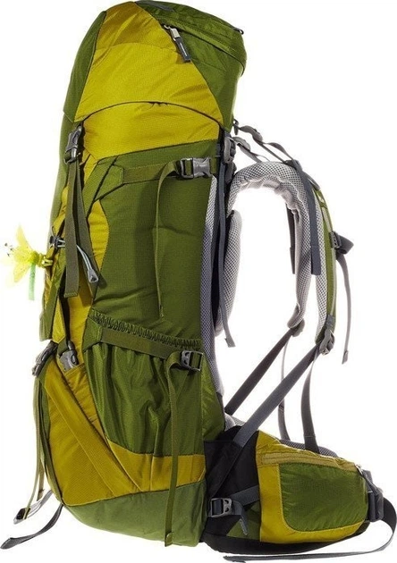 Рюкзак Deuter Aircontact 50 + 10 SL цвет 2250 pine-moss (3320216 2250) - изображение 4
