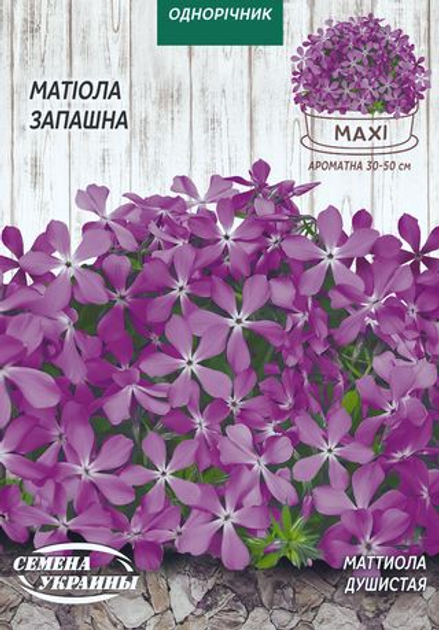 Семена маттиолы душистой Семена Украины 10г (U6064) – купить онлайн на ...