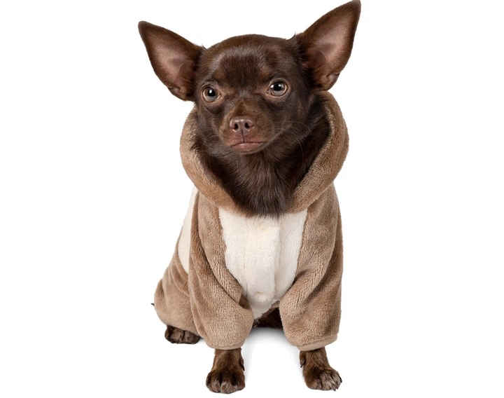 Костюм для собак Pet Fashion ALF молочно-коричневый XXS Pet Fashion BGL-PF-1045 - Фото 3 Костюм для собак Pet Fashion ALF молочно-коричневый XXS Pet Fashion BGL-PF-1045 - изображение 3