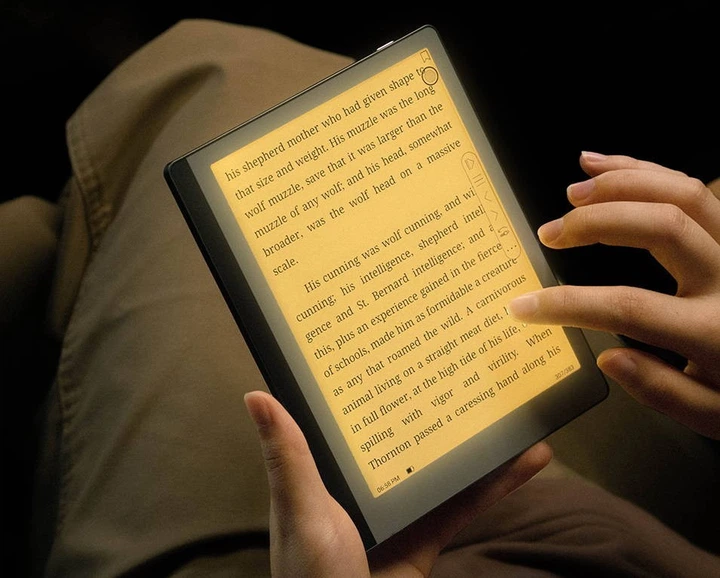 Электронная книга Onyx Boox Leaf - Фото 2 Электронная книга Onyx Boox Leaf - изображение 2