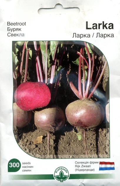 Семена свекла столовая Ларка Профи 300 семян Rijk Zwaan 43625 - Фото 1 Семена свекла столовая Ларка Профи 300 семян Rijk Zwaan 43625 - изображение 1