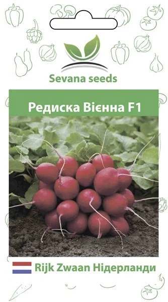 Семена редиса Виенна F1 5 г Enza Zaden - Фото 1 Семена редиса Виенна F1 5 г Enza Zaden - изображение 1