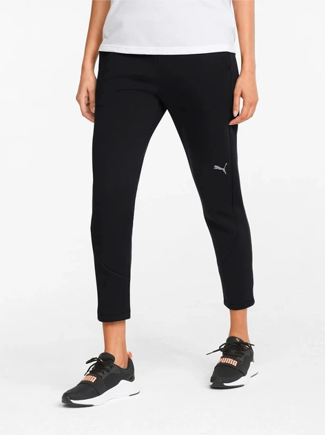 evostripe pants puma