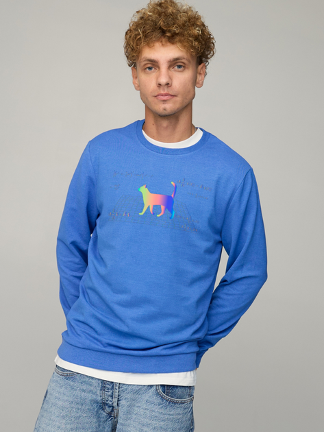 Світшот чоловічий Yappi BSMRB10032 XL Блакитний від Rozetka на платформі USKIDKA Акція на Світшот чоловічий Yappi BSMRB10032 XL Блакитний від Rozetka