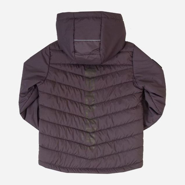 Детская демисезонная куртка для мальчика Evolution 05-ВМ-22 122 см Серая (ROZ6400127026) - изображение 2