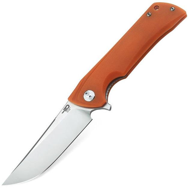 Нож складной карманный Bestech Knife PALADIN BG13C-1 (90/215 мм) - изображение 1