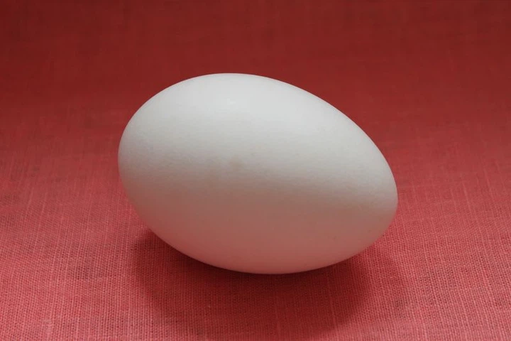 Яйці гусяче для писанки Майстерня Оксани Білоус (P-110-2390) - зображення 2