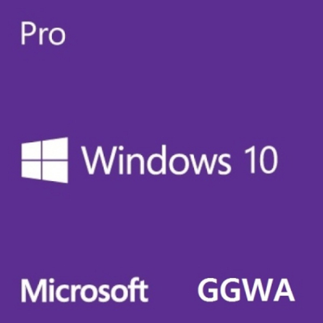 Операционная система Microsoft Windows GGWA - Windows 10 Professional Commercial, Perpetual (DG7GMGF0CGSH_0005) - зображення 1