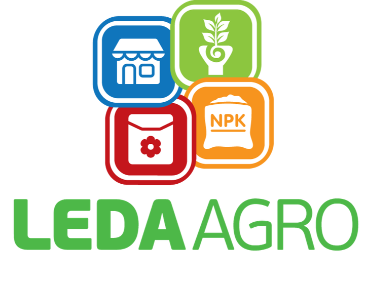 Марінда F1 Огірок Самозапильний Насіння Leda Agro 100 шт - изображение 5