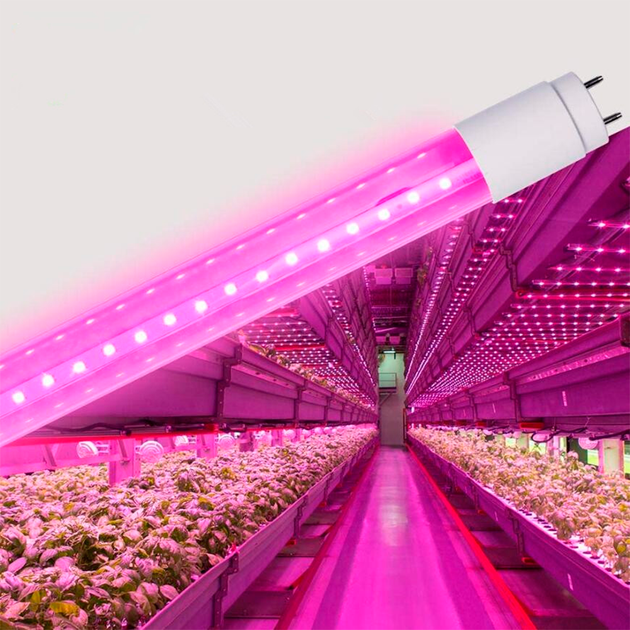 LED FITO лампа VIDEX T8F 9W 0.6M - зображення 4