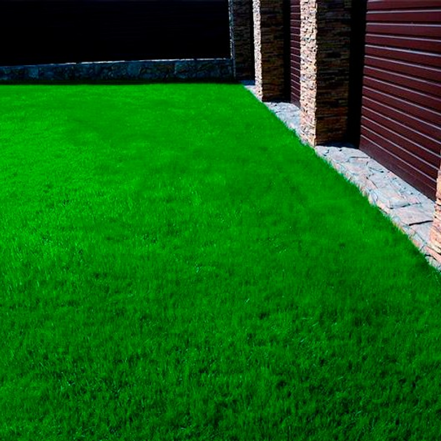  Green Home газонная трава Лилипут 6 кг – фото, отзывы .