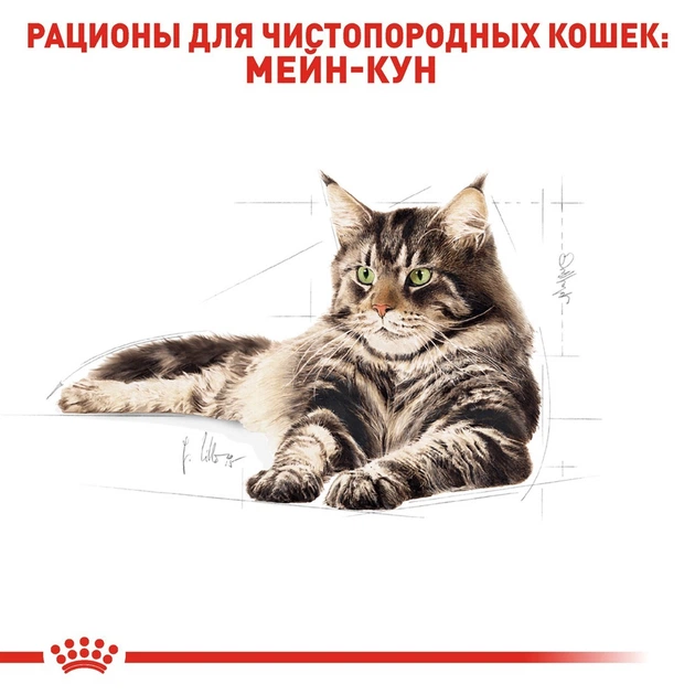 Royal Canin MAINE COON Adult 400 г Полнорационный сбалансированный корм специально для кошек породы мейн-кун в возрасте старше 15 месяцев - изображение 3