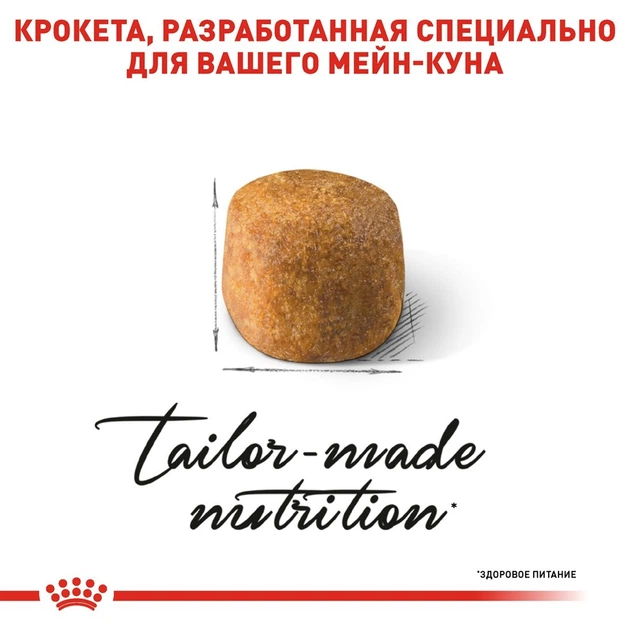 Royal Canin MAINE COON Adult 400 г Полнорационный сбалансированный корм специально для кошек породы мейн-кун в возрасте старше 15 месяцев - изображение 4