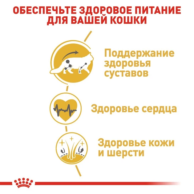 Royal Canin MAINE COON Adult 400 г Полнорационный сбалансированный корм специально для кошек породы мейн-кун в возрасте старше 15 месяцев - изображение 5