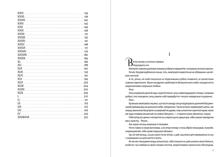 Мазепа. Книга 4 - Полтава. Частина друга. Бої Богдан Лепкий - Фото 3 Мазепа. Книга 4 - Полтава. Частина друга. Бої Богдан Лепкий - зображення 3