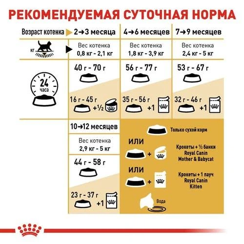 Сухой корм для кошек Royal Canin BRITISH SHORTHAIR KITTEN для котят породы Британской короткошерстной 2кг - изображение 4