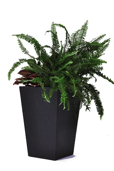 Квітковий горщик Keter Medium Rattan Planter сірий (7290103659288) - Фото 1 Квітковий горщик Keter Medium Rattan Planter сірий (7290103659288) - зображення 1