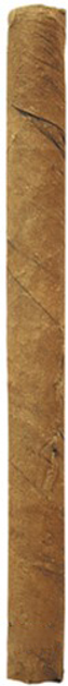 Сигарили (міні-сигари) Cohiba Mini 10 шт. (8500001541875_n) – фото ...