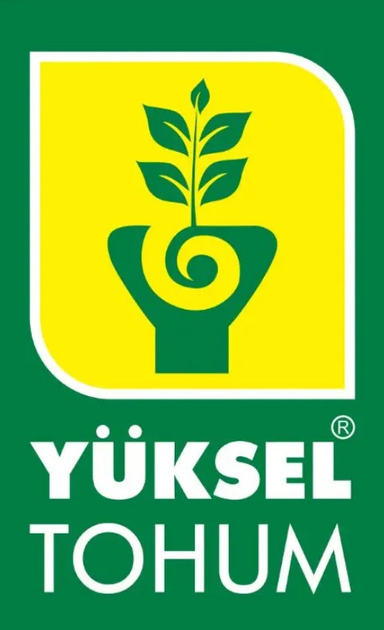 Биг Сашер F1 Томат Индет. Семена Yuksel Seeds 500 шт – низкие цены ...
