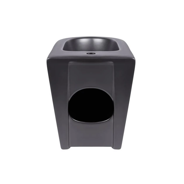 Біде підлогове Qtap Robin 575x370x410 Matt black QT13442141CMB - изображение 3