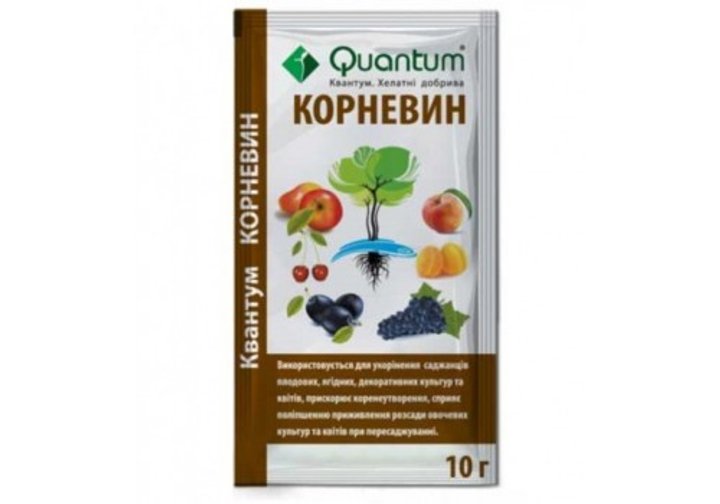 Корневин, 10 г. 011296 