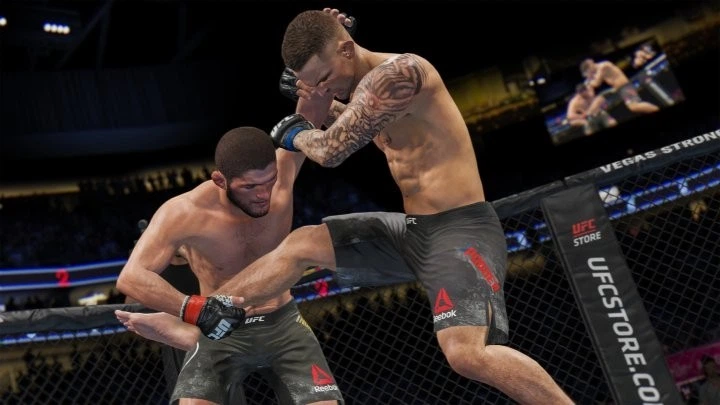 Игра UFC 4 для PS4 (Blu-ray диск, Russian subtitles) - Фото 7 Игра UFC 4 для PS4 (Blu-ray диск, Russian subtitles) - изображение 7