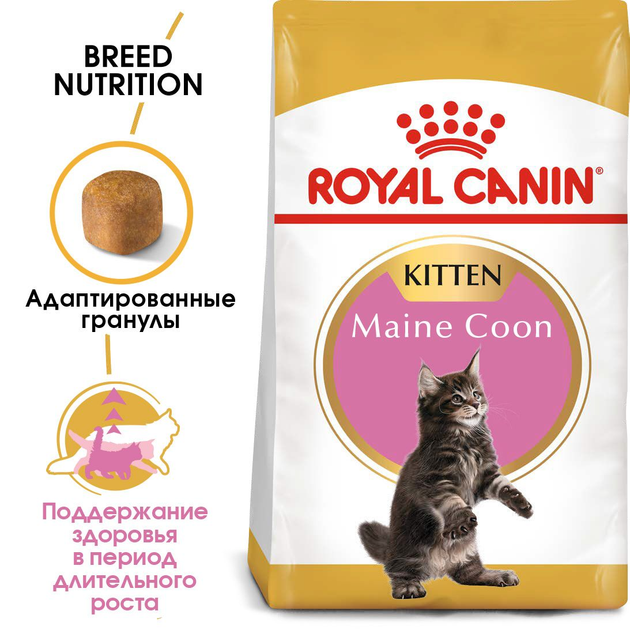 Сухой корм для котят Royal Canin Maine Coon Kitten, 4 кг - изображение 2