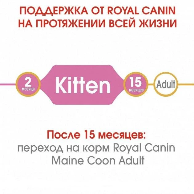 Сухой корм для котят Royal Canin Maine Coon Kitten, 4 кг - изображение 6