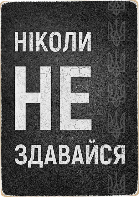 Дерев'яний постер Wood Posters Ніколи не здавайся Фанера A3 28 х 40 см ...
