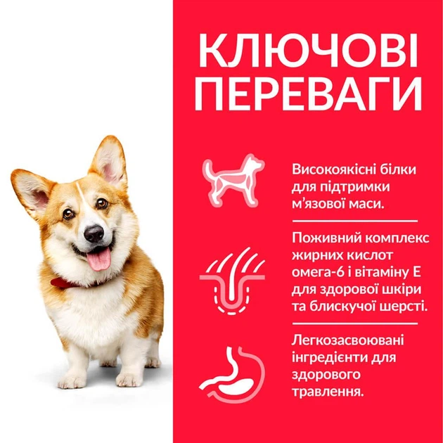 Сухий корм Hill’s SP Adult Small&Mini для дорослих собак малих і мініатюрних порід з куркою 3 кг - Фото 2 Сухий корм Hill’s SP Adult Small&Mini для дорослих собак малих і мініатюрних порід з куркою 3 кг - изображение 2