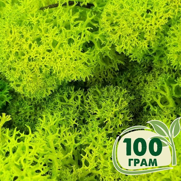 Стабилизированный мох ягель Nordic moss Зеленый весенний 100 грамм - изображение 1