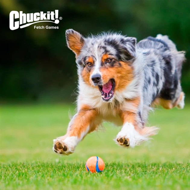 Zestaw zabawek Chuckit! Ultra Ball Piłka tenisowa M 2 szt (0660048170013) - obraz 3