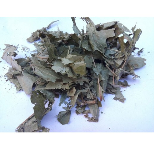 Дуб листья сушеные (упаковка 5 кг) - изображение 1