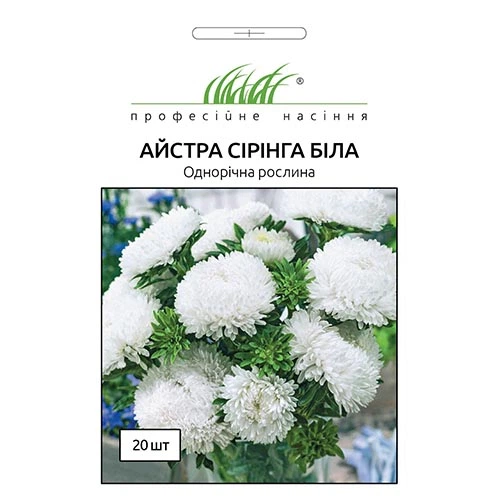 Астра Сірінга Біла Florium - Фото 2 Астра Сірінга Біла Florium - зображення 2